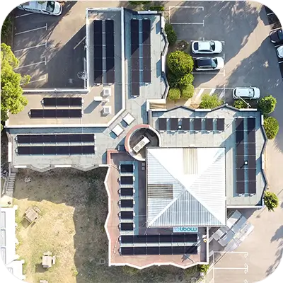 Libow professionnels