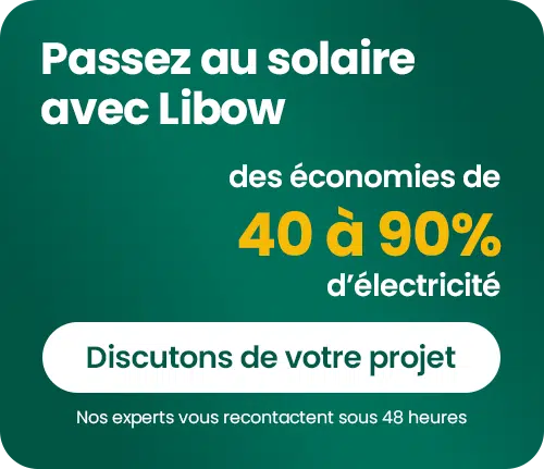 CTA Blog Libow